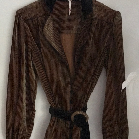 Free people burned velvet striped dress 🌟🌟 - Picture 3 of 4